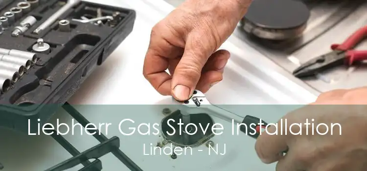 Liebherr Gas Stove Installation Linden - NJ