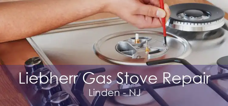 Liebherr Gas Stove Repair Linden - NJ