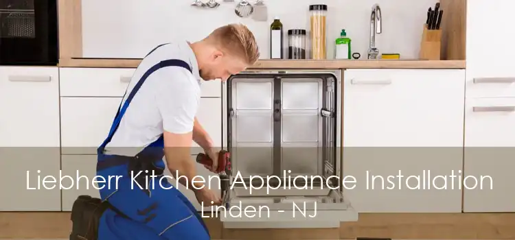 Liebherr Kitchen Appliance Installation Linden - NJ