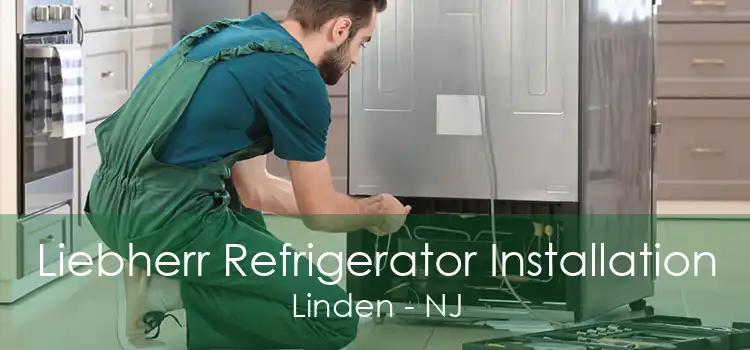 Liebherr Refrigerator Installation Linden - NJ