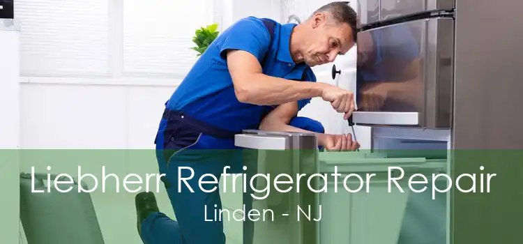 Liebherr Refrigerator Repair Linden - NJ