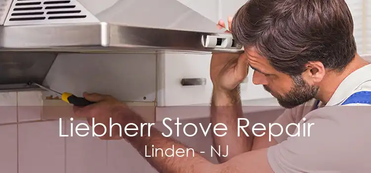 Liebherr Stove Repair Linden - NJ