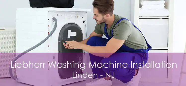 Liebherr Washing Machine Installation Linden - NJ