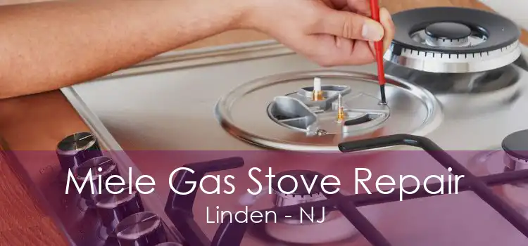 Miele Gas Stove Repair Linden - NJ