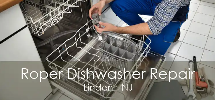 Roper Dishwasher Repair Linden - NJ