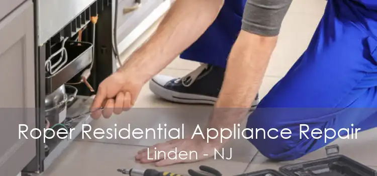 Roper Residential Appliance Repair Linden - NJ