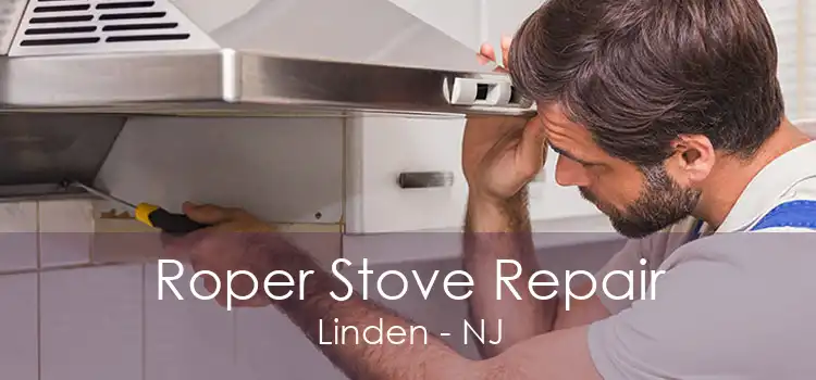 Roper Stove Repair Linden - NJ