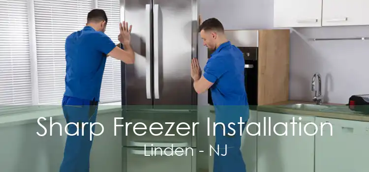 Sharp Freezer Installation Linden - NJ