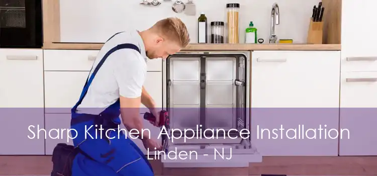 Sharp Kitchen Appliance Installation Linden - NJ