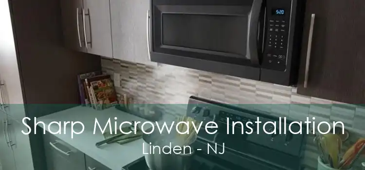 Sharp Microwave Installation Linden - NJ