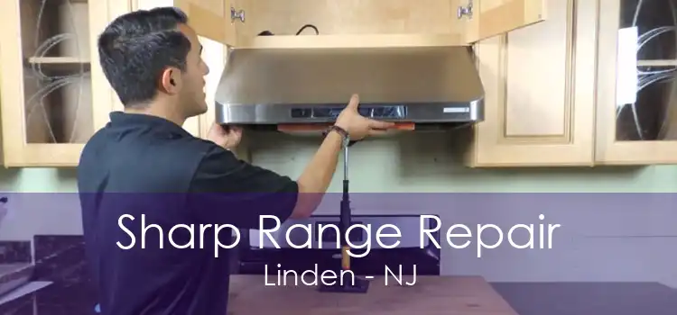 Sharp Range Repair Linden - NJ
