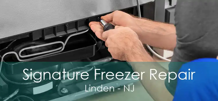Signature Freezer Repair Linden - NJ