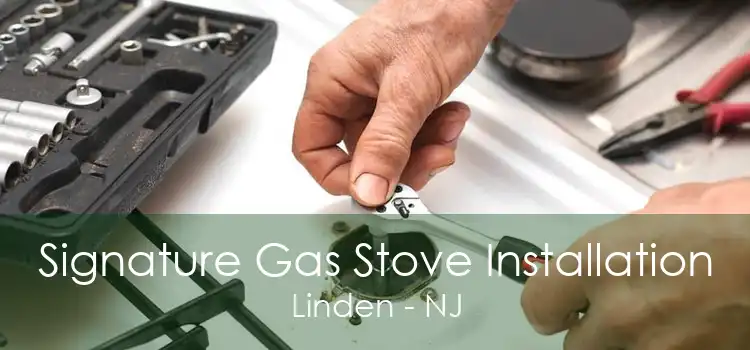 Signature Gas Stove Installation Linden - NJ