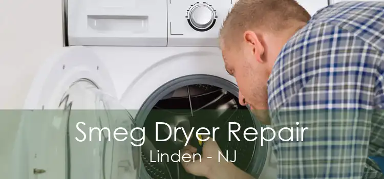 Smeg Dryer Repair Linden - NJ
