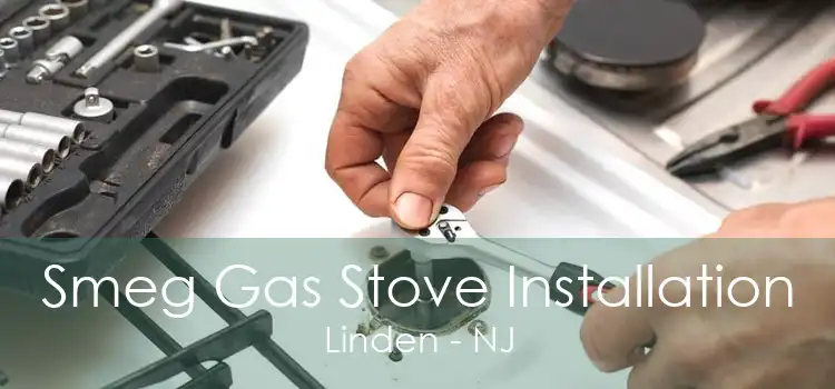 Smeg Gas Stove Installation Linden - NJ