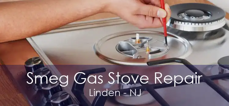 Smeg Gas Stove Repair Linden - NJ