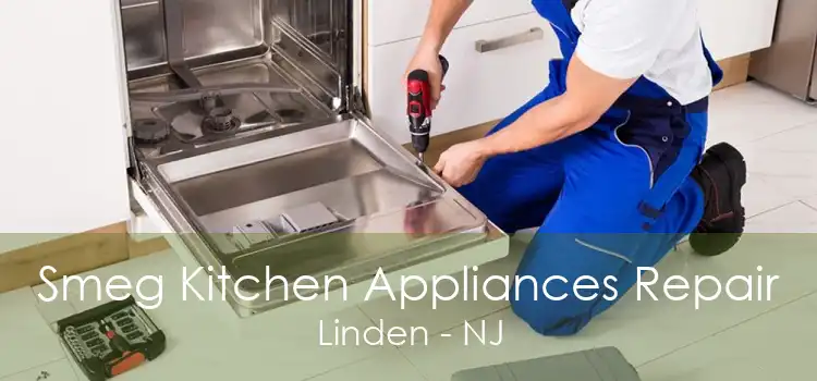 Smeg Kitchen Appliances Repair Linden - NJ