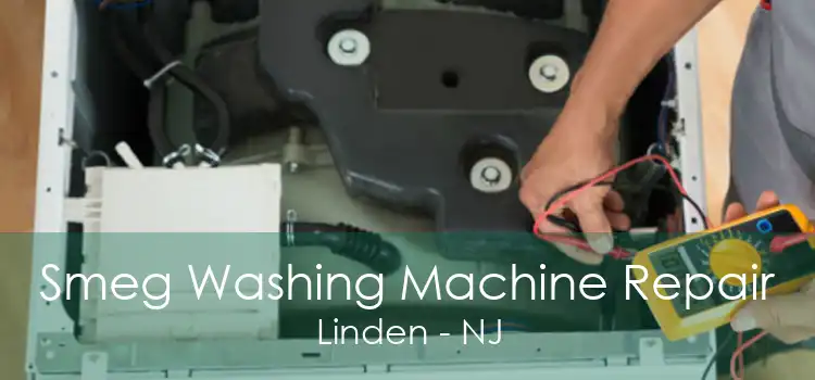 Smeg Washing Machine Repair Linden - NJ