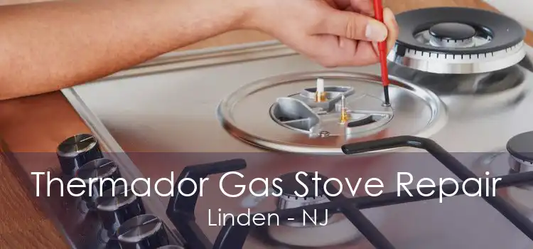 Thermador Gas Stove Repair Linden - NJ