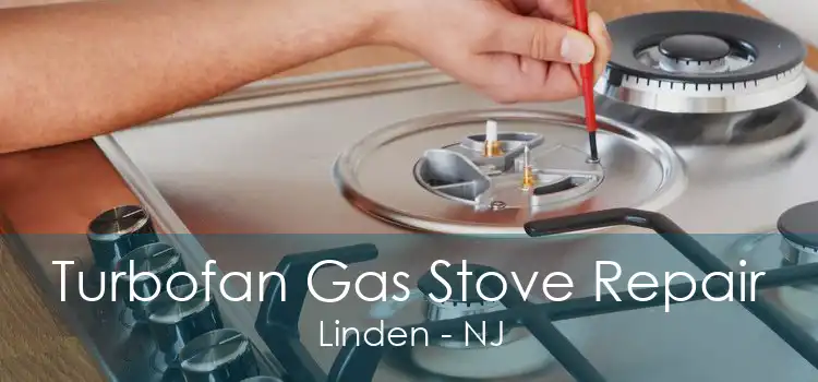 Turbofan Gas Stove Repair Linden - NJ