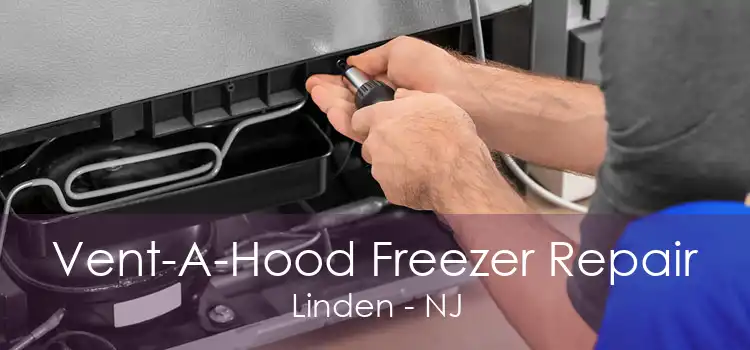 Vent-A-Hood Freezer Repair Linden - NJ