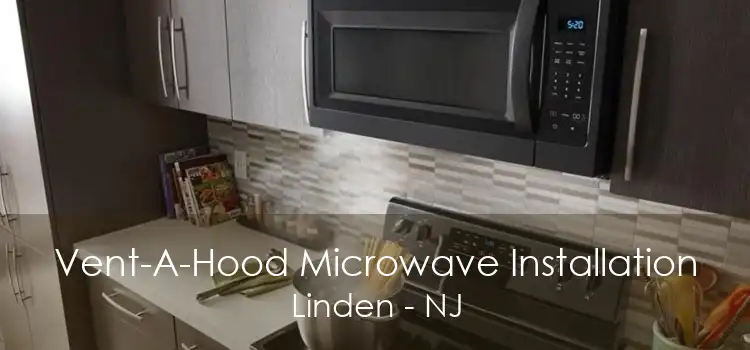 Vent-A-Hood Microwave Installation Linden - NJ