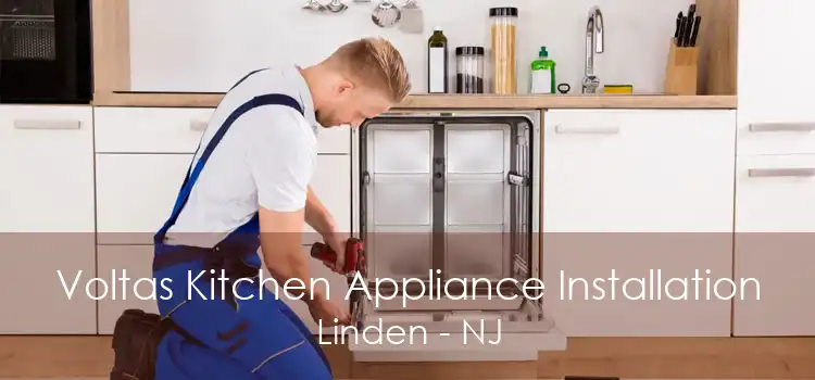 Voltas Kitchen Appliance Installation Linden - NJ