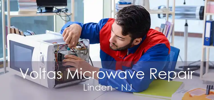Voltas Microwave Repair Linden - NJ