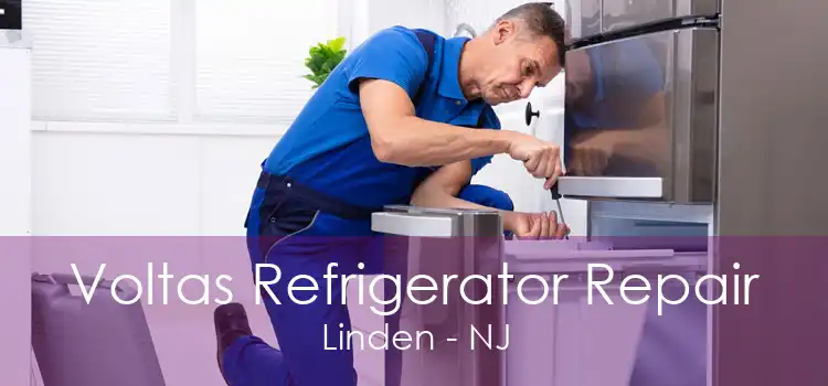 Voltas Refrigerator Repair Linden - NJ