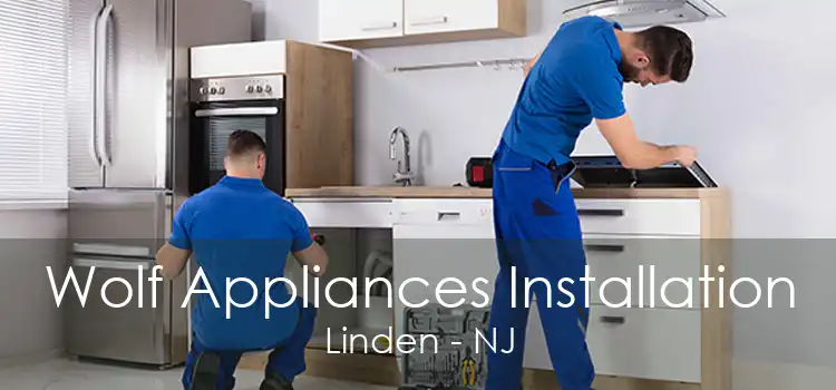 Wolf Appliances Installation Linden - NJ