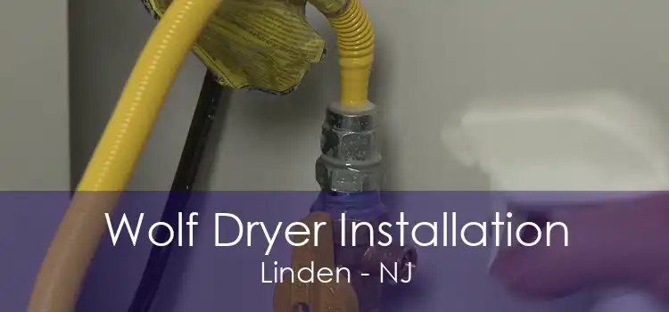 Wolf Dryer Installation Linden - NJ