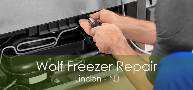 Wolf Freezer Repair Linden - NJ