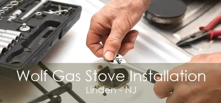 Wolf Gas Stove Installation Linden - NJ