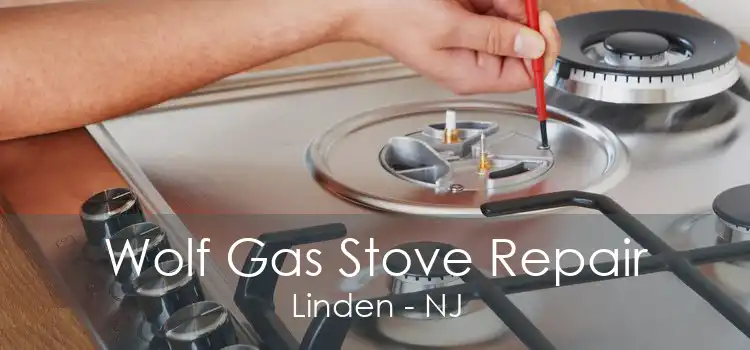 Wolf Gas Stove Repair Linden - NJ