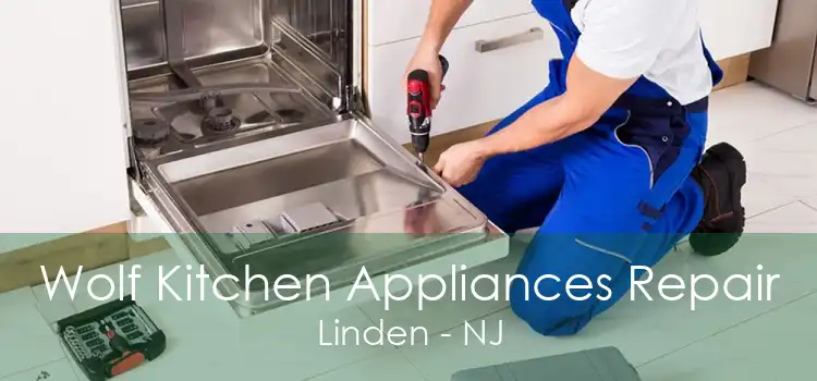 Wolf Kitchen Appliances Repair Linden - NJ