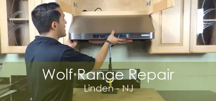 Wolf Range Repair Linden - NJ