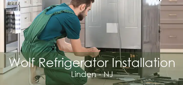 Wolf Refrigerator Installation Linden - NJ