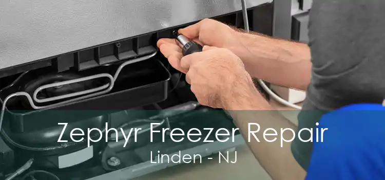 Zephyr Freezer Repair Linden - NJ